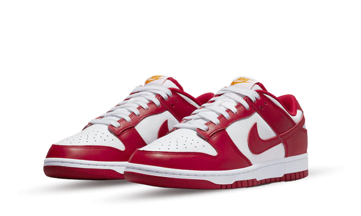 Nike Dunk Low USC